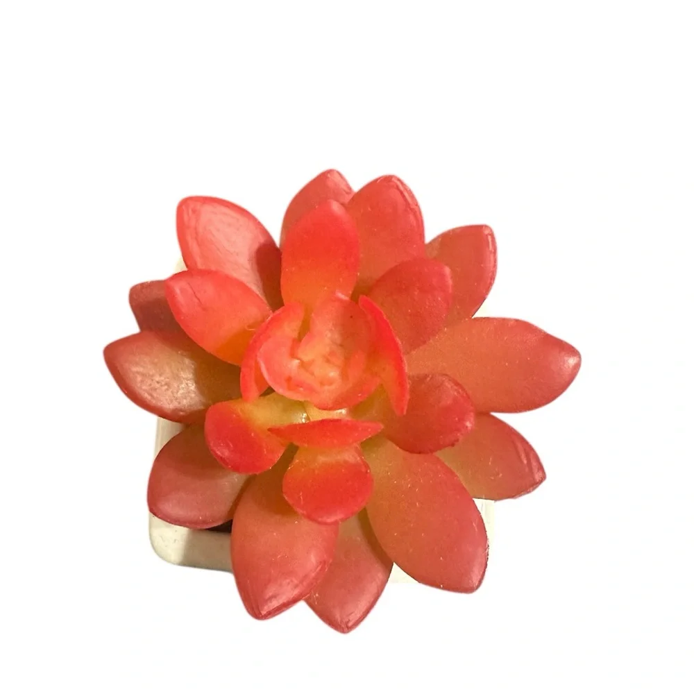 Set of 4 Faux Succulent Plants in White Ceramic Pots